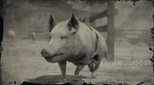 Red Dead Redemption 2 Pig